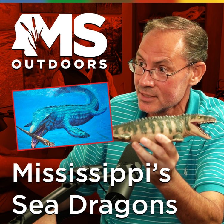 cover art for Sea Dragons, Mammoths, & the Lost Ocean of Mississippi with James Starnes
