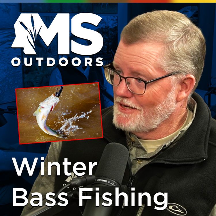 cover art for Winter Bass Fishing in Mississippi: Cold-Water Tips with Larry Pugh