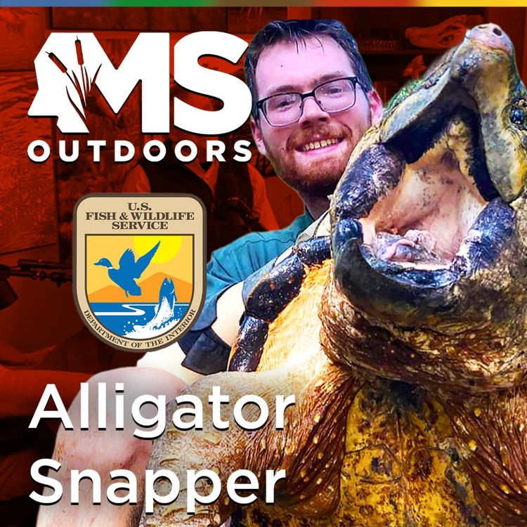 cover art for Inside the World of Mississippi’s Largest Turtles with Biologist Luke Pearson