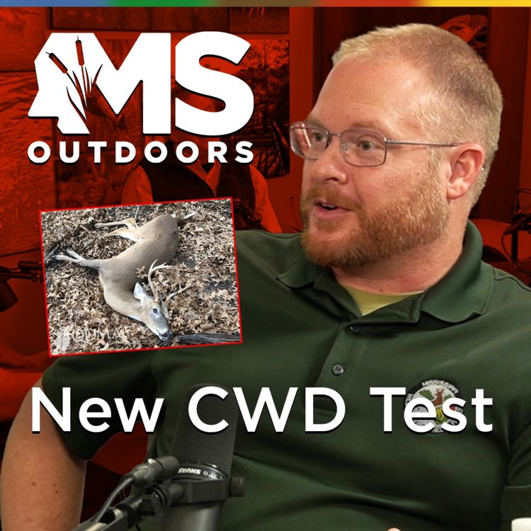 cover art for Finding CWD Without a Dead Deer: Scrape Testing Explained