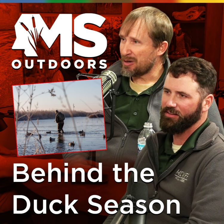 cover art for Behind Duck Season: Aerial Surveys, Habitat & Movement with MDWFP Biologists