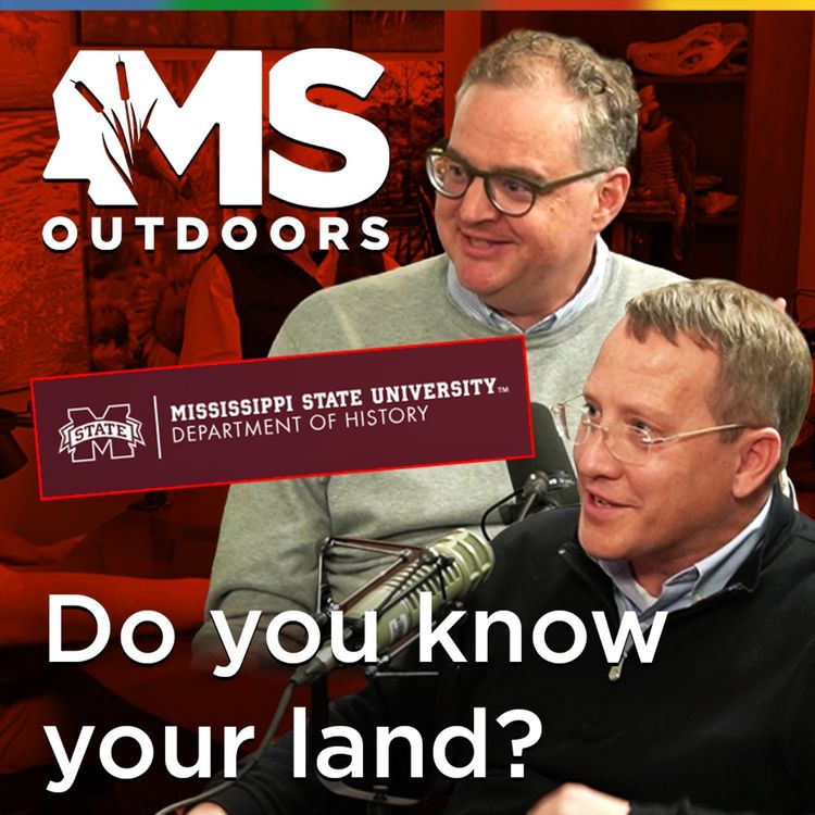 cover art for How Mississippi's Past Shapes Where Wildlife Is Today