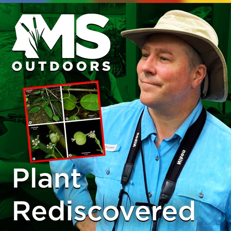 cover art for Who Discovers New Plants in Mississippi with Botanist Dr. Mack Alford