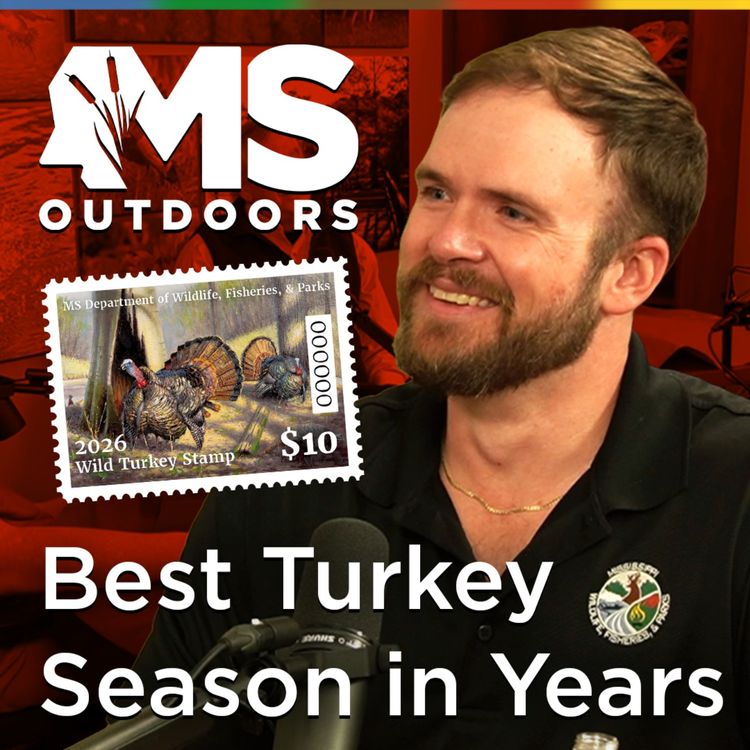 cover art for Mississippi's Best Turkey Season in Years: The Stamp & What's Ahead