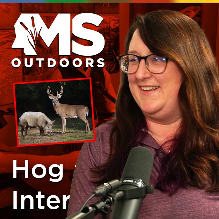 cover art for Hogs & Deer Interactions: What New MSU Research Reveals
