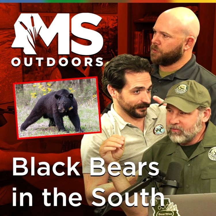cover art for A Tri-State Look at Black Bear Management in the South
