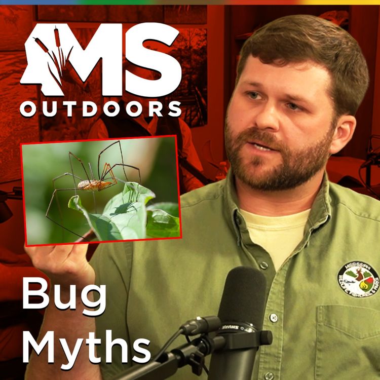 cover art for Bug Myths Busted: Skeeter Eaters, Granddaddy Long Legs & Fire Ants with Ecologist Brady Dunaway