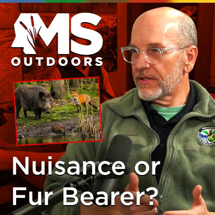 cover art for Nuisance Animals vs. Fur Bearers: What Every Mississippian Should Know with Martin Coker