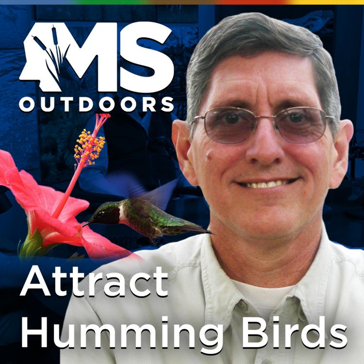 cover art for Attract Hummingbirds with Native Plants with Biologist Mark LaSalle
