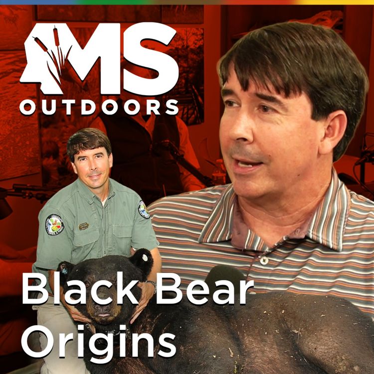 cover art for Mississippi's First Bear Biologist: Brad Young on Building the Program from the Ground Up