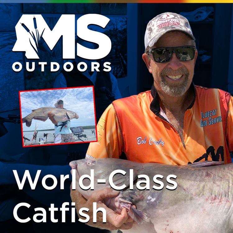 cover art for Catching World-Class Catfish on the Mississippi River with Guide Bob Crosby