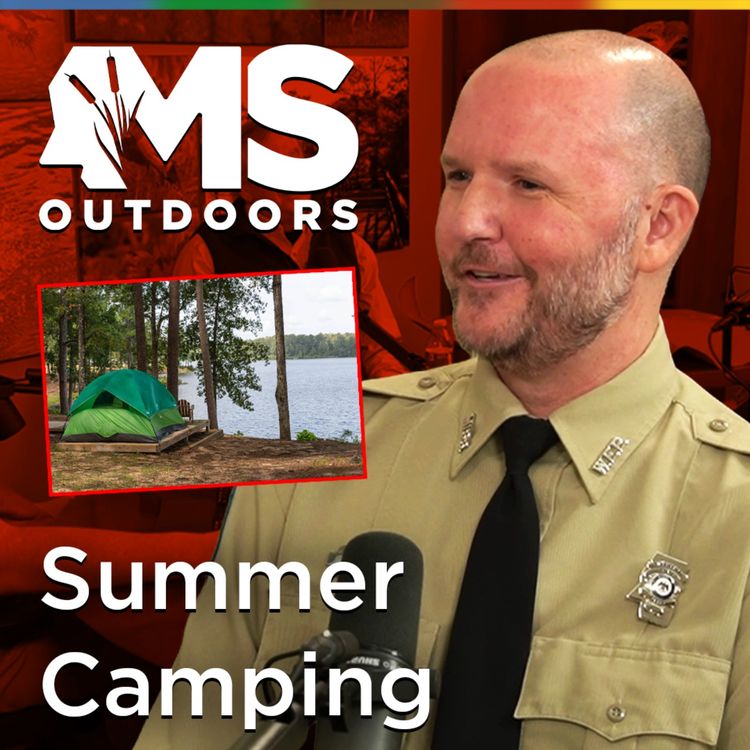 cover art for Summer Camping Tips for Mississippi: Heat, Bugs & State Parks with Josh Hinton