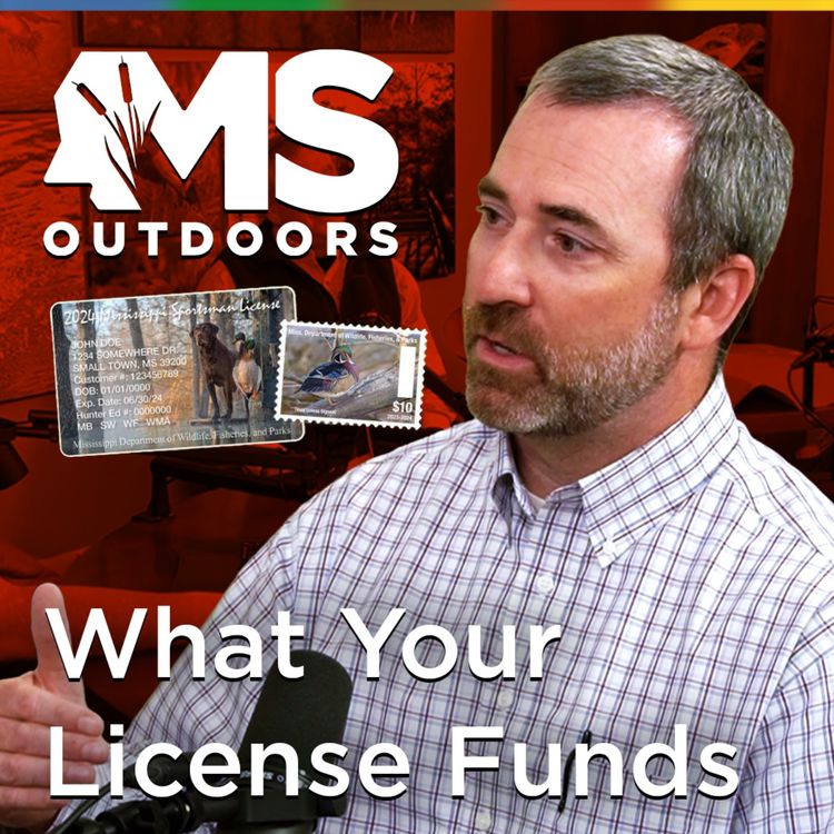 cover art for What Your Hunting License Really Pays For
