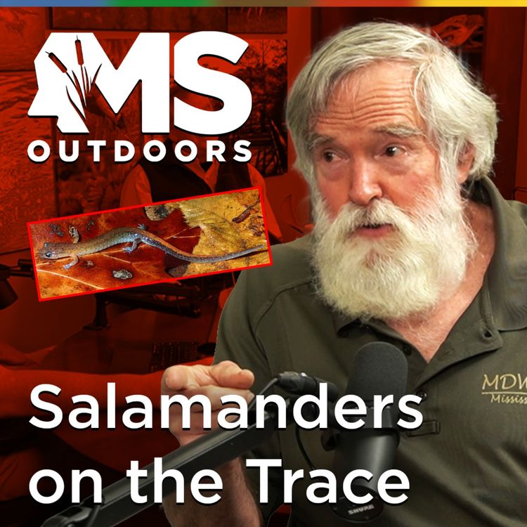 cover art for The Man on the Natchez Trace at Midnight: Zoologist Tom Mann & the Webster's Salamander