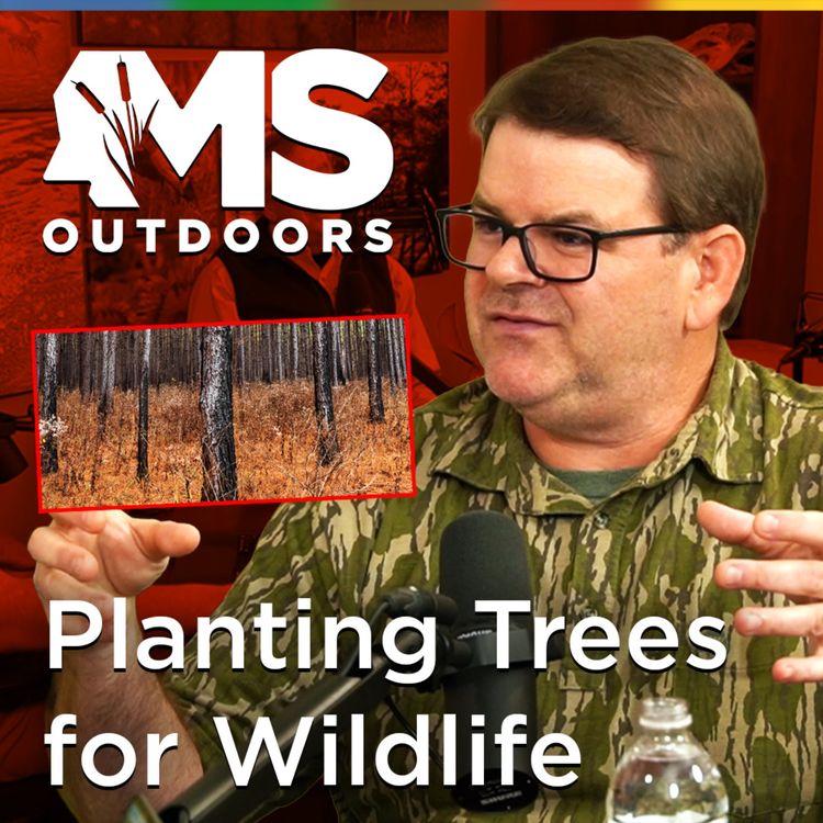 cover art for Growing Trees for Wildlife: Meet the Tree Guy at Mossy Oak, Dudley Phelps
