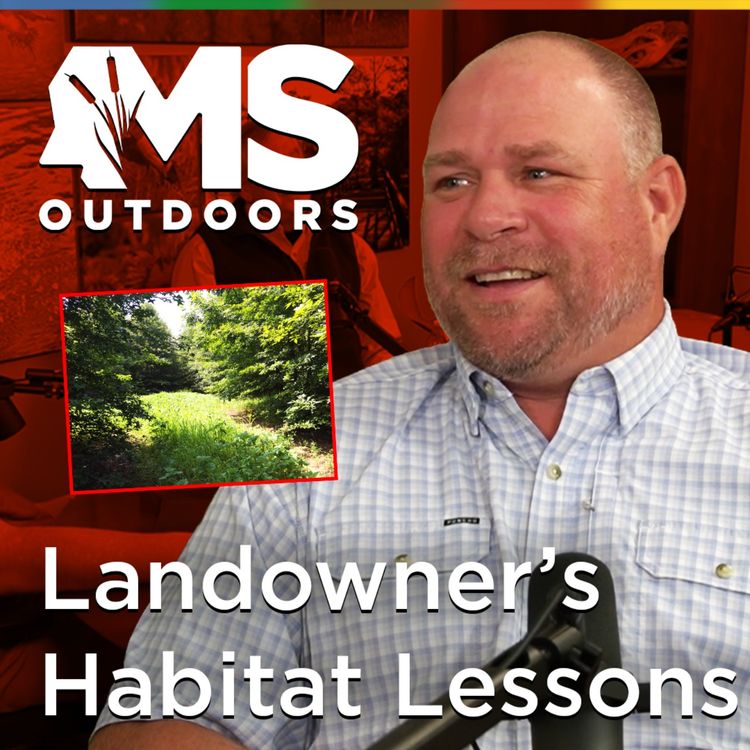cover art for How One Mississippi Landowner Is Rebuilding Wildlife Habitat