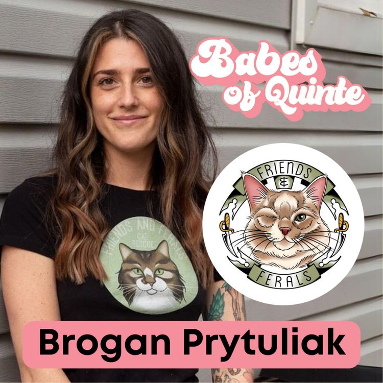 cover art for The Tweed Cat Lady