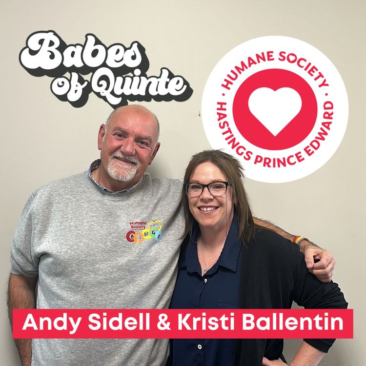 cover art for Adopt Don't Shop