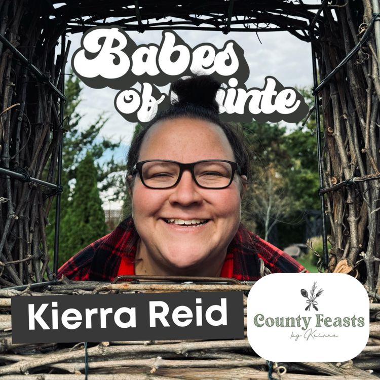 cover art for Working for the Dream