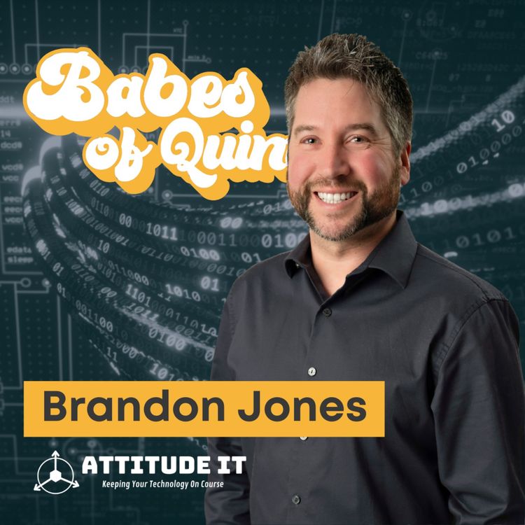 cover art for Scam the Scammers