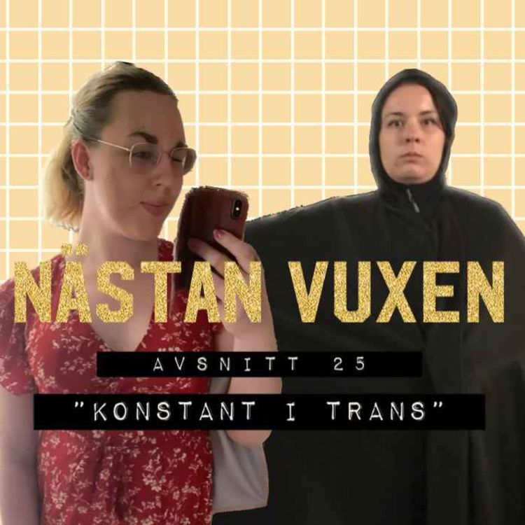 cover art for Konstant i trans