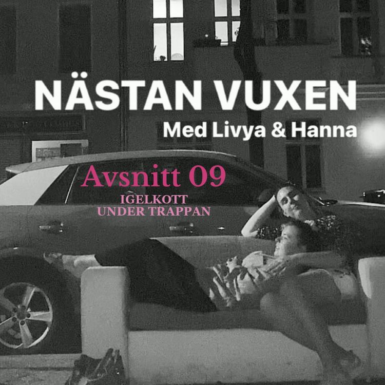 cover art for Igelkott under trappan