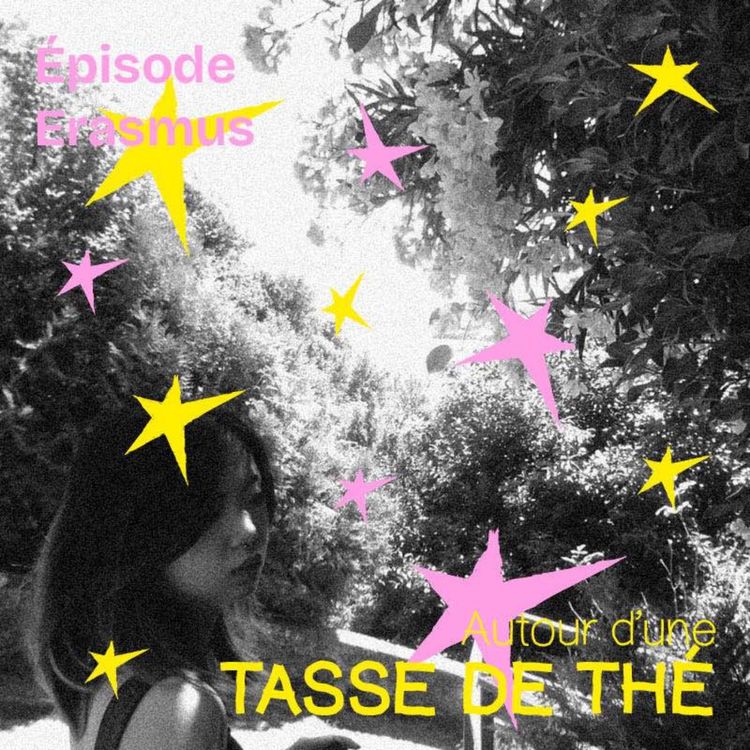 cover art for Bilan Erasmus (et Nostalgie)