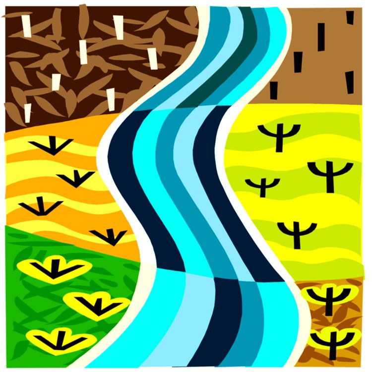 cover art for Jingle Nittachowa