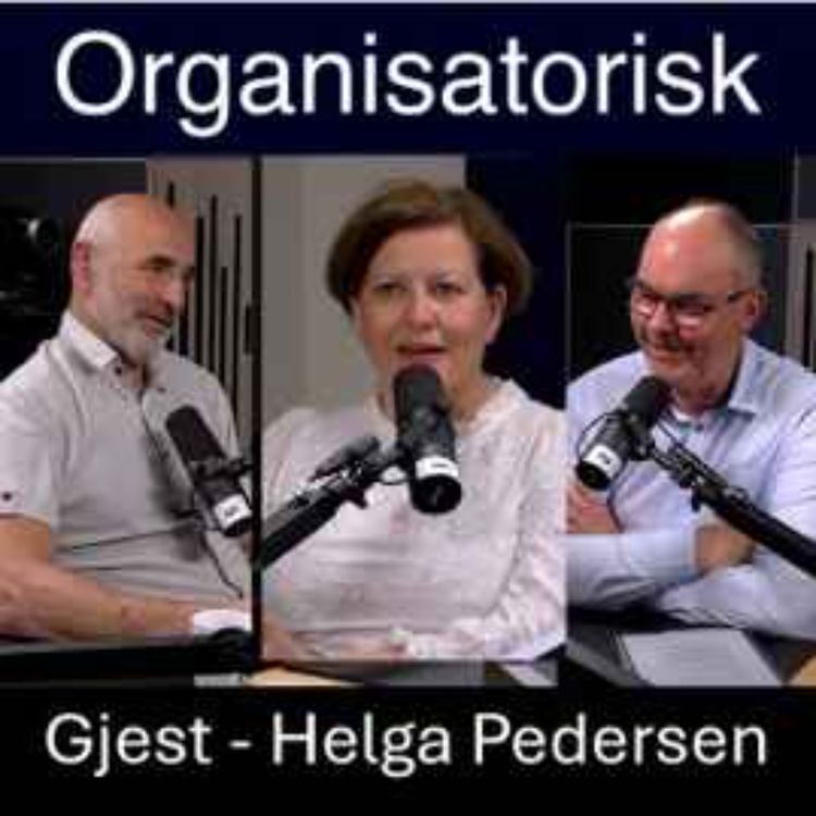 cover art for Moderne organisasjonsarbeid