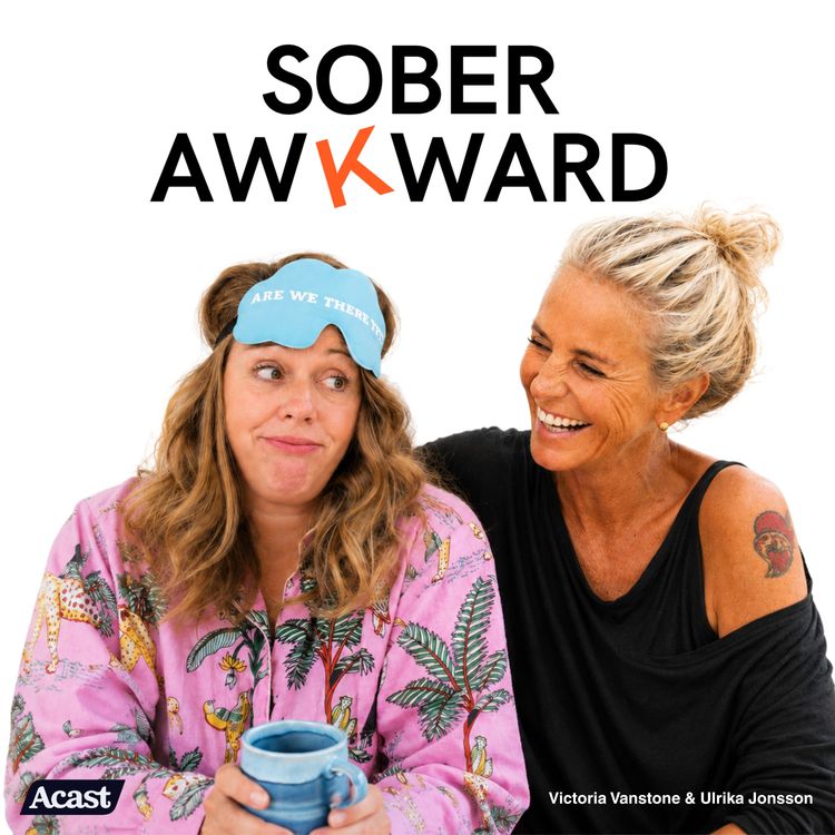 cover art for The Awkward Bits