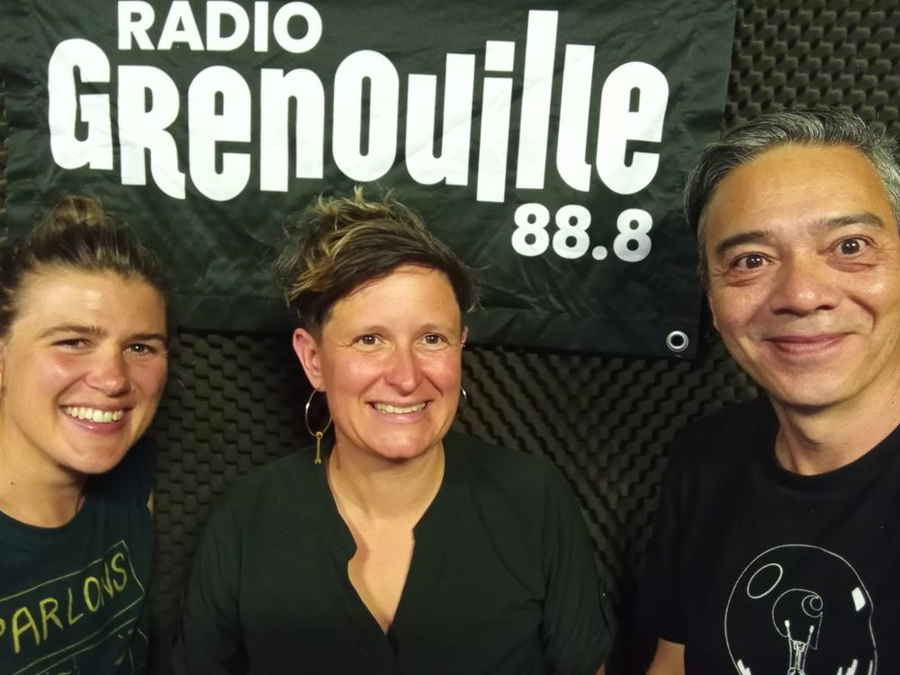 cover art for Nina Almberg en quelques vignettes 