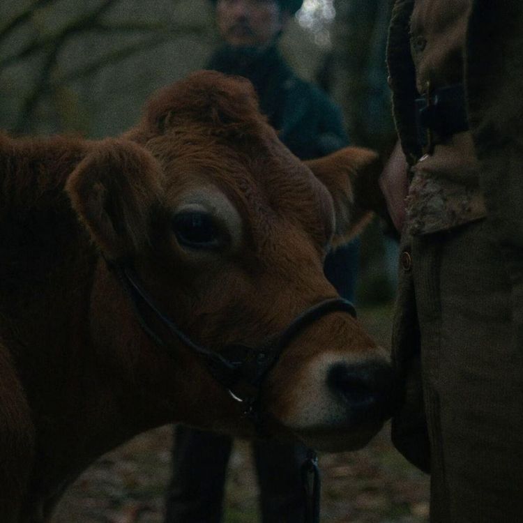 cover art for First Cow: The American Dream