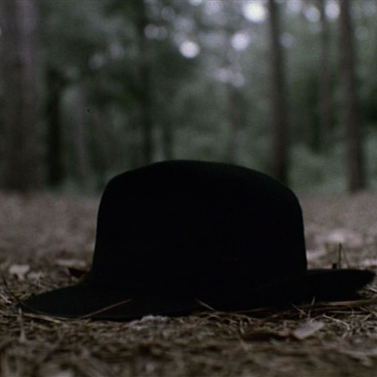 cover art for What's the Rumpus?