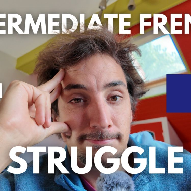 cover art for Est-ce que je progresse ? Intermediate French Podcast