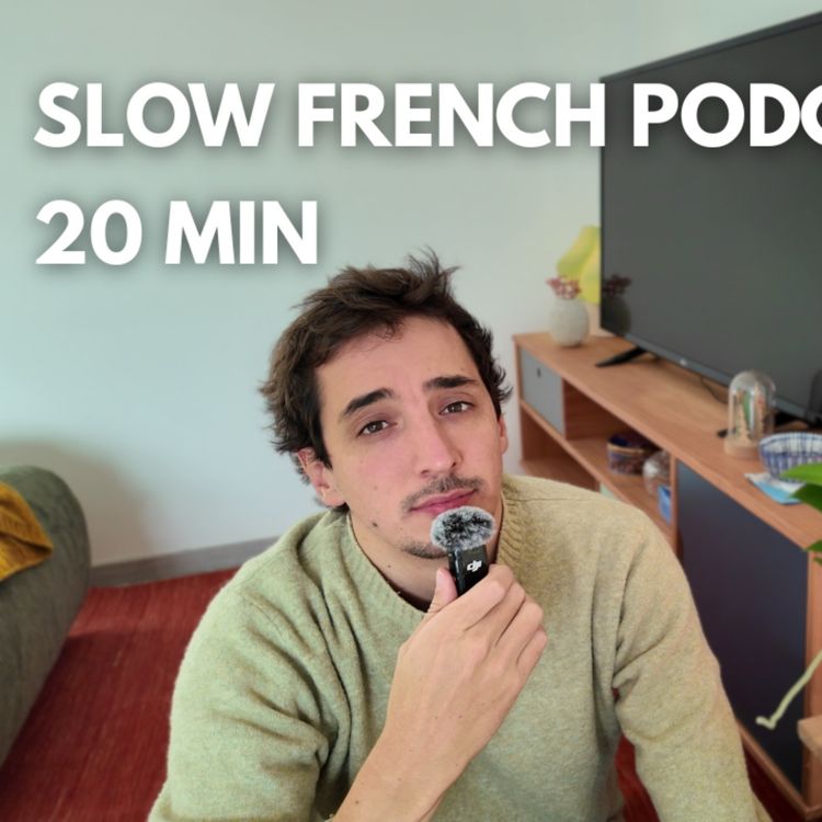 cover art for Je comprends mais je ne peux pas parler - Slow French Podcast
