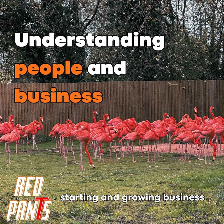 cover art for Blunt, confident and making a real difference