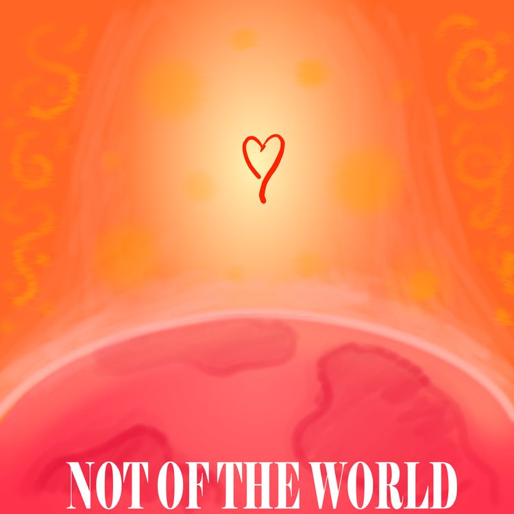 cover art for The Cost of Perfection