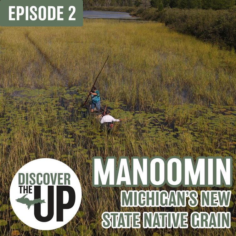 cover art for Manoomin