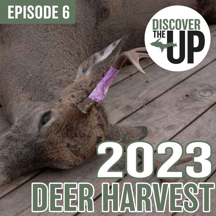 cover art for 2023 Deer Harvest Report