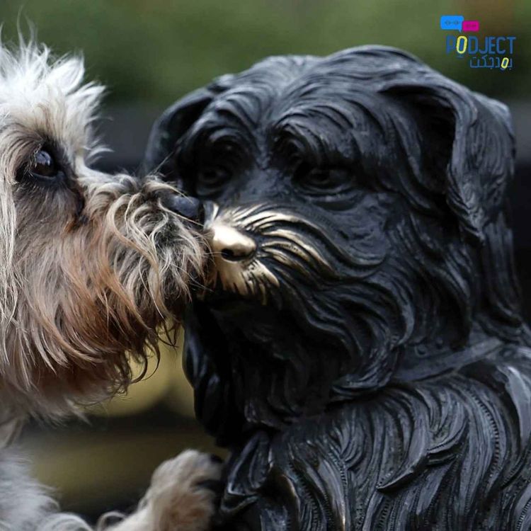 cover art for Bobby the Dog