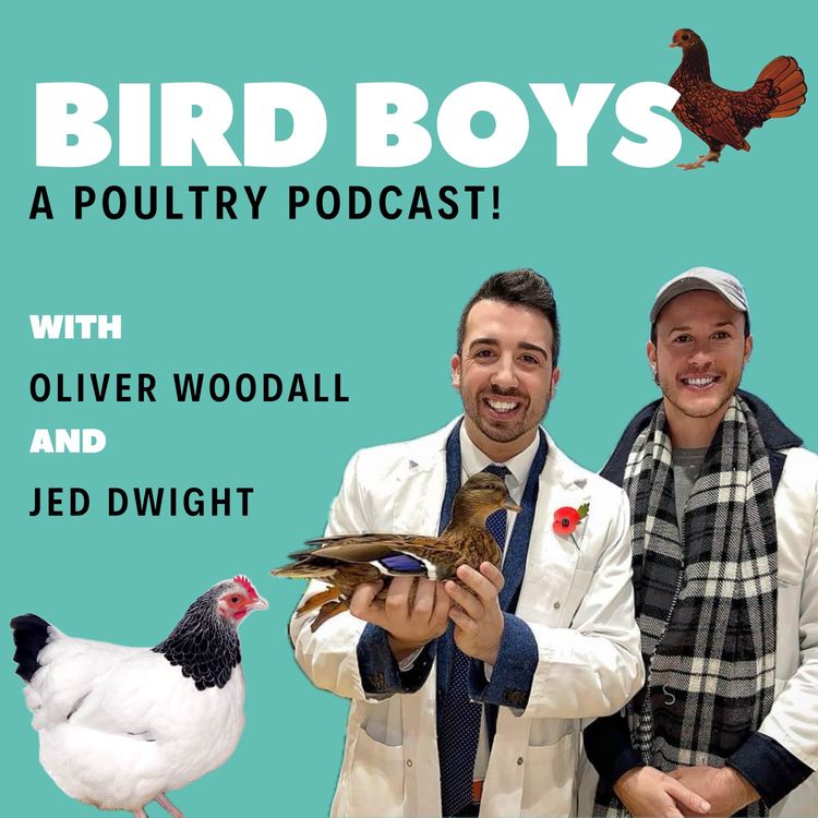 cover art for Poultry Pilot! 