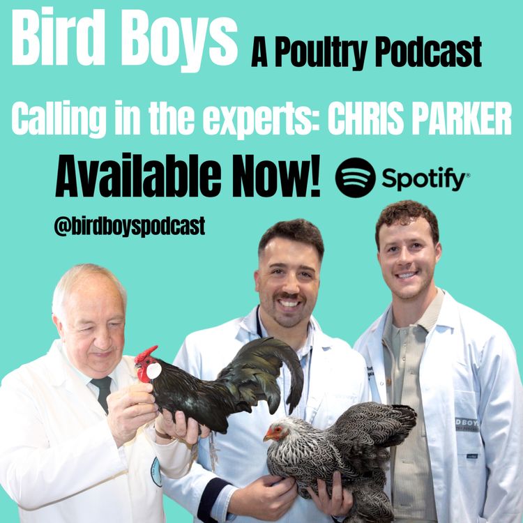 cover art for Calling in the experts: Chris Parker