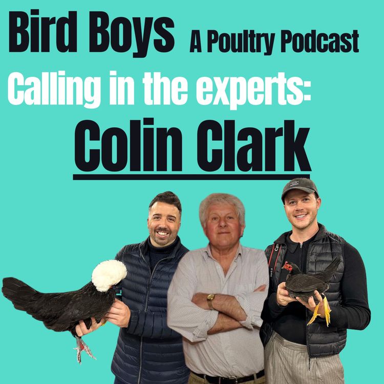 cover art for Calling in the experts: Colin Clark