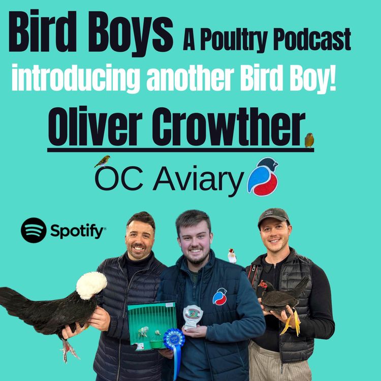 cover art for Introducing another Bird Boy - Oliver Crowther (OC Aviary)