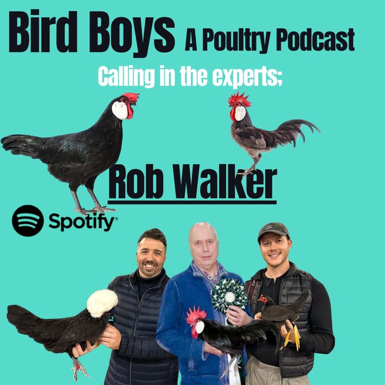 cover art for Calling in the experts: Rob Walker