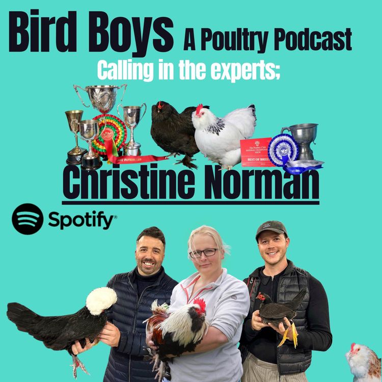 cover art for Calling in the experts: Christine Norman