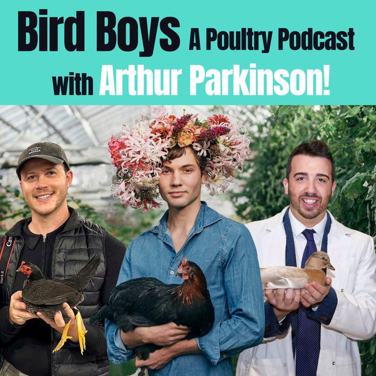 cover art for Chicken Chat with Arthur Parkinson!