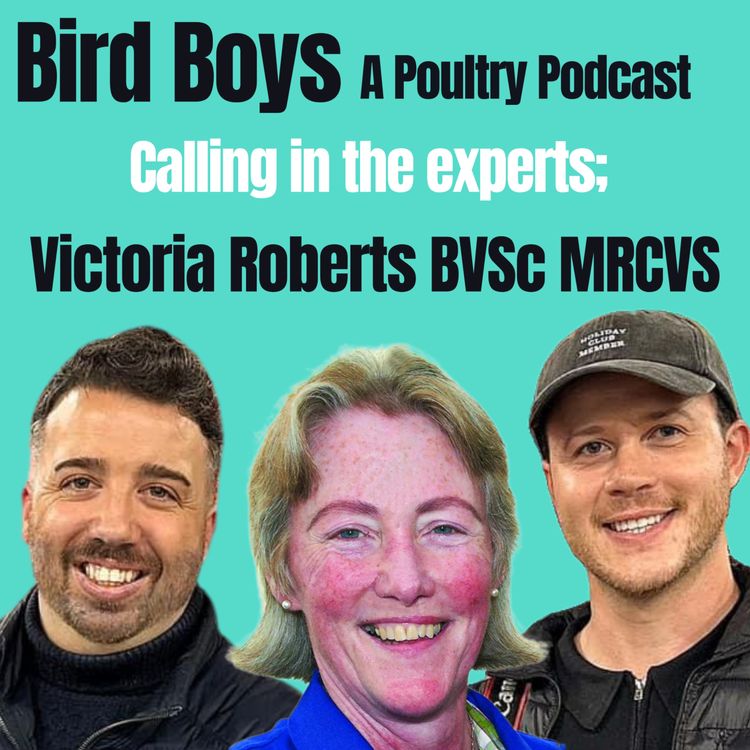 cover art for Calling in the experts: Victoria Roberts BVSc MRCVS