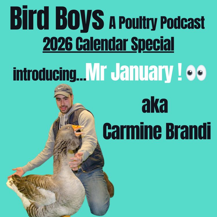 cover art for Introducing Mr January - Carmine Brandi!