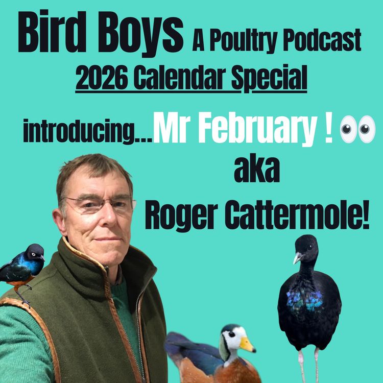 cover art for Introducing Mr February - Roger Cattermole!